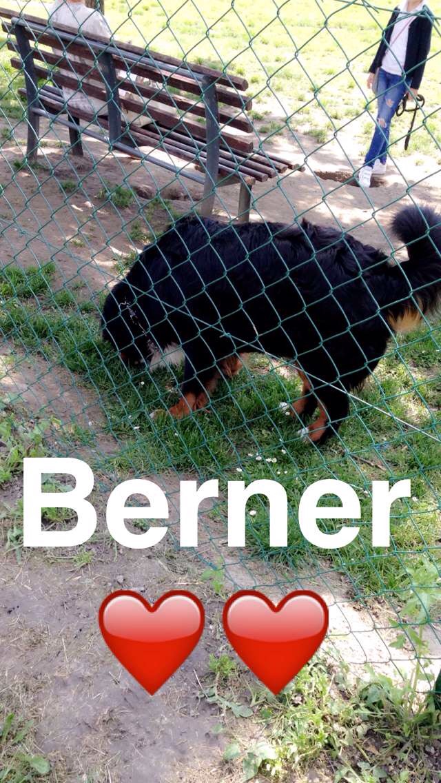 20160509_150738000_iOS