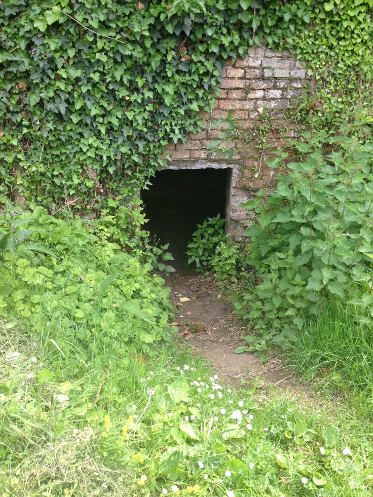 20160511_121921922_iOS