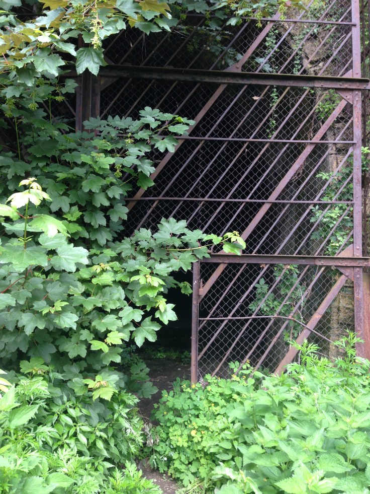 20160511_133624697_iOS