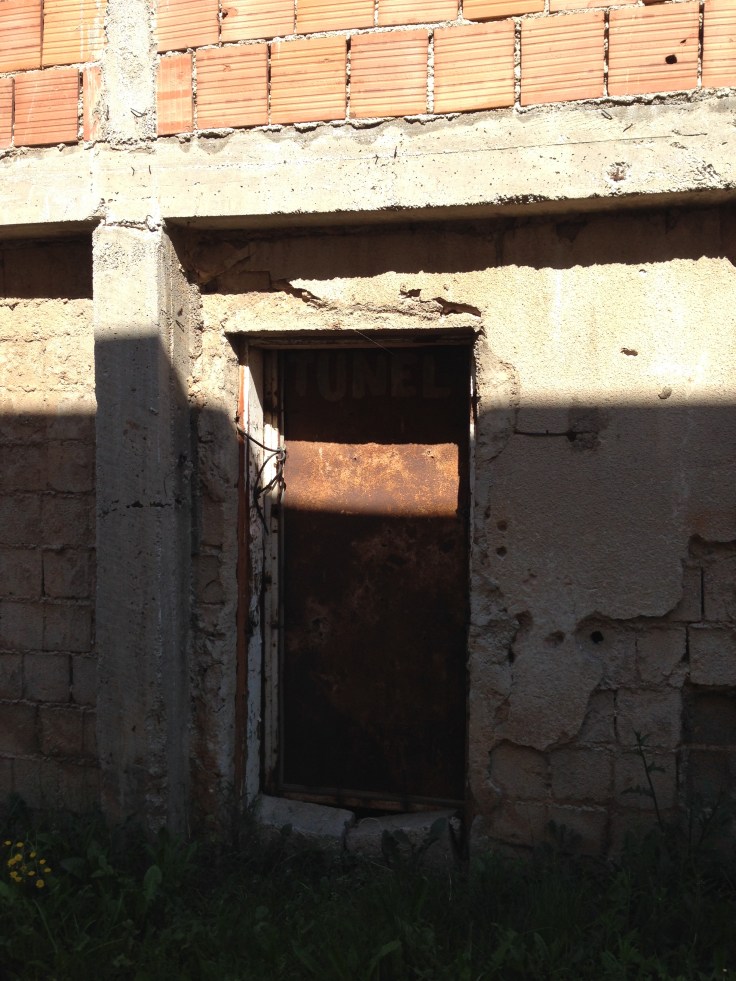 20160518_075115532_iOS