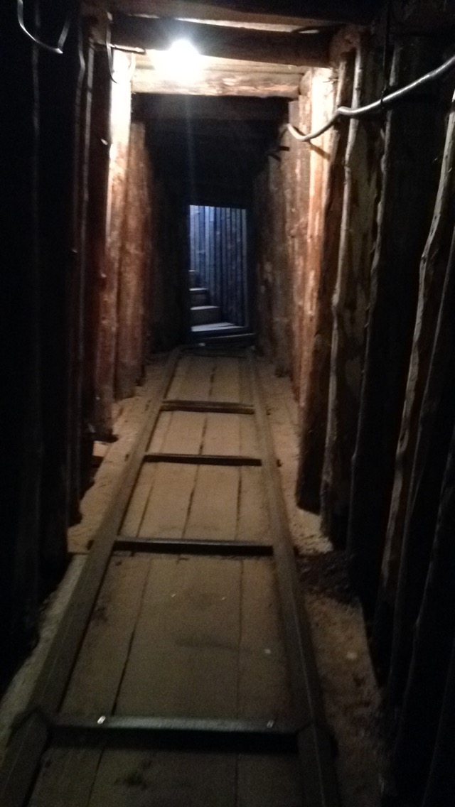 20160518_082546000_iOS