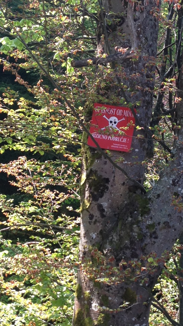 20160518_093130000_iOS